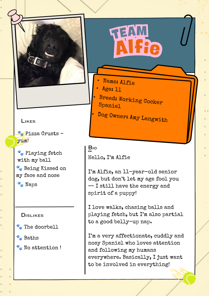 Team Alfie