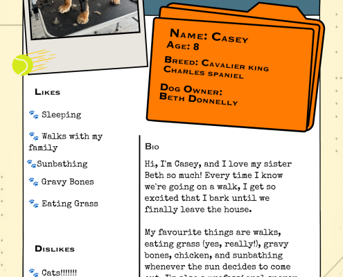 Team Casey