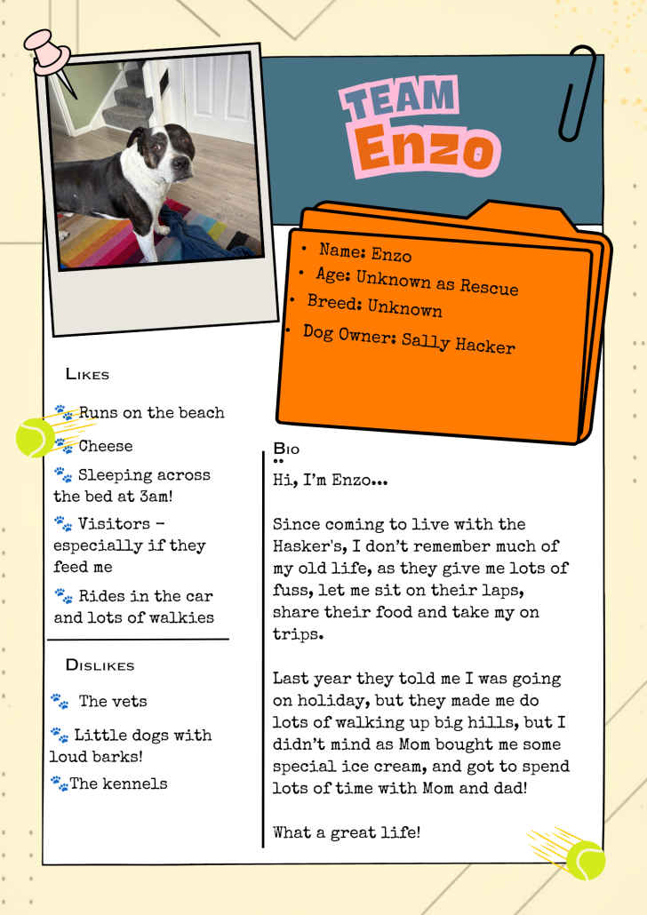 Team Enzo