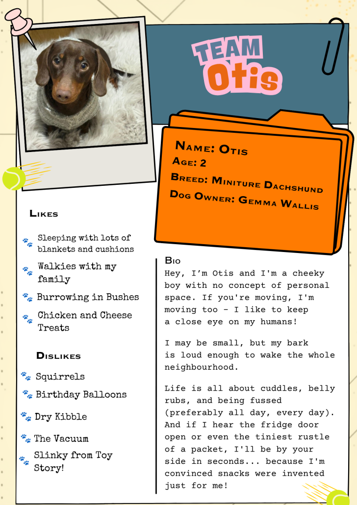 Team Otis