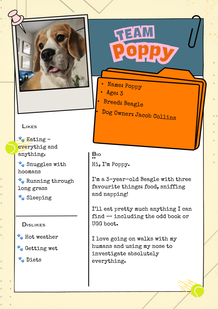 Team Poppy