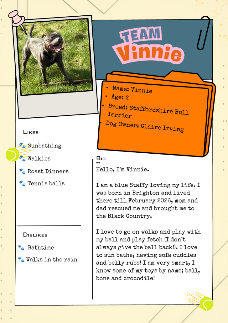Team Vinnie